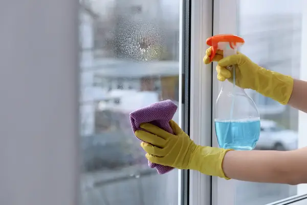 Window Cleaning services